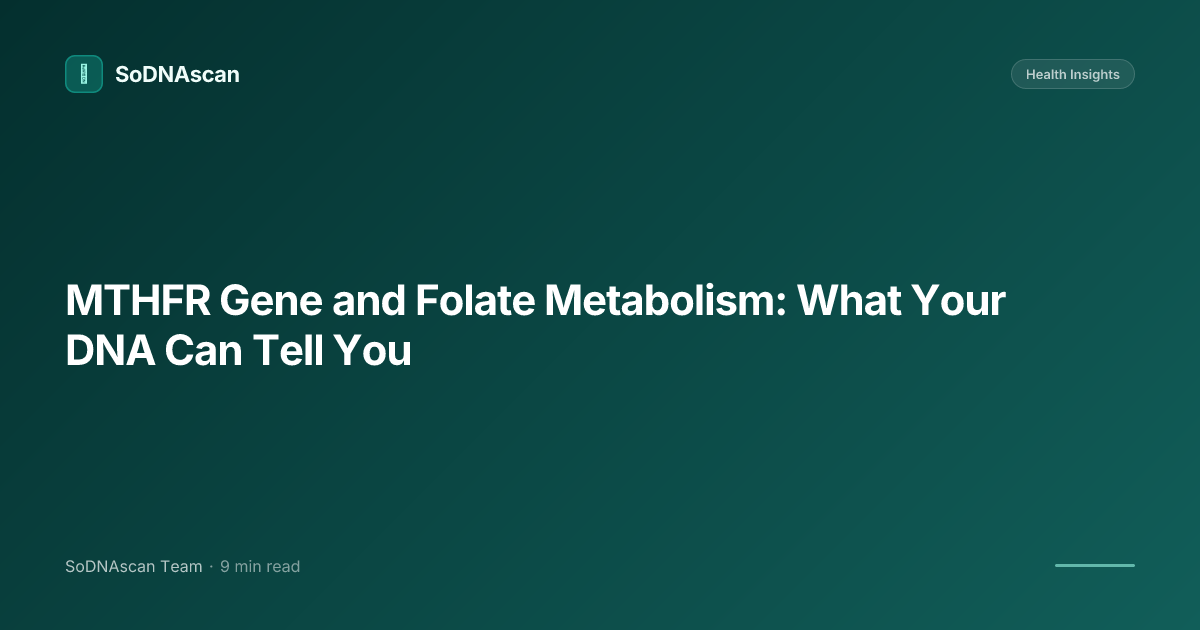 MTHFR Gene and Folate Metabolism: What Your DNA Can Tell You